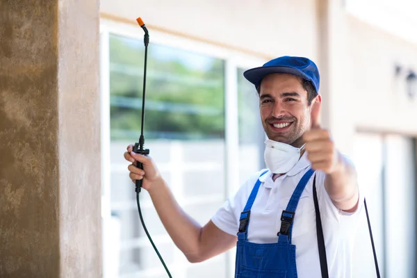 Texarkana Wasp Removal