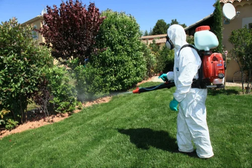 Texarkana Mosquito Control