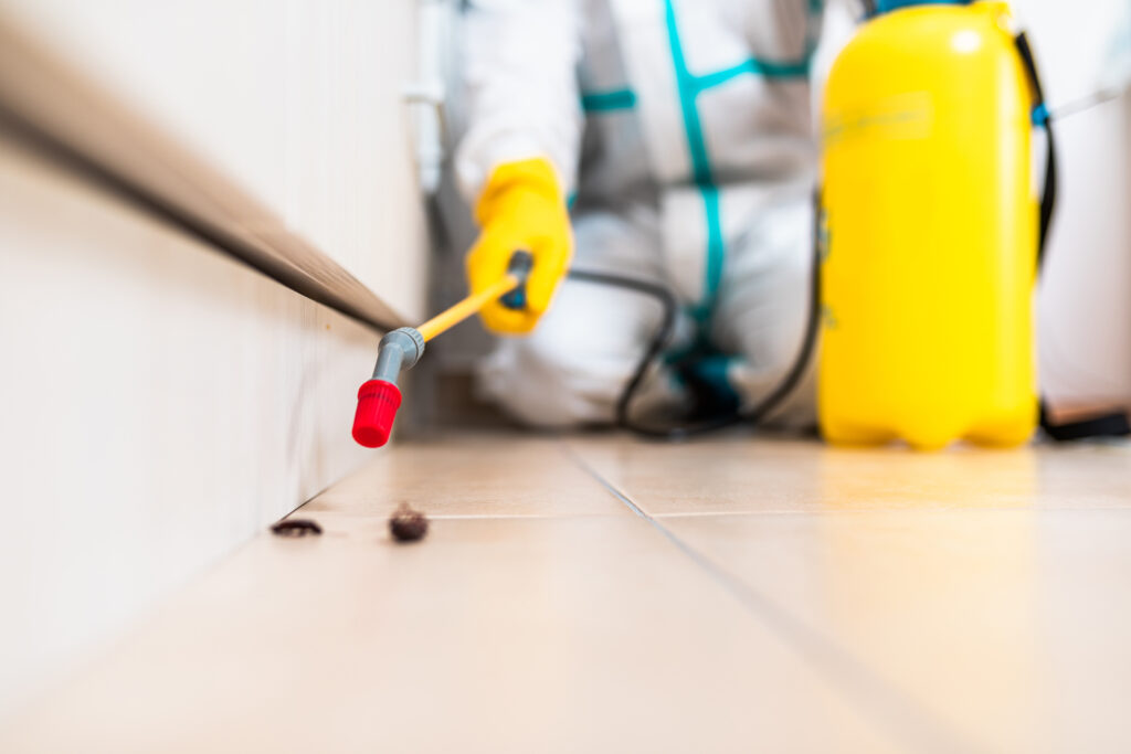 Texarkana Cockroach Experts