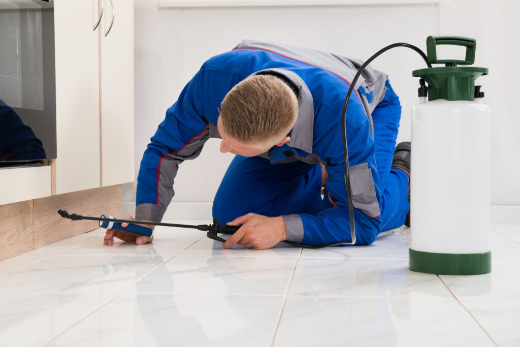 Texarkana Ant Control Xperts