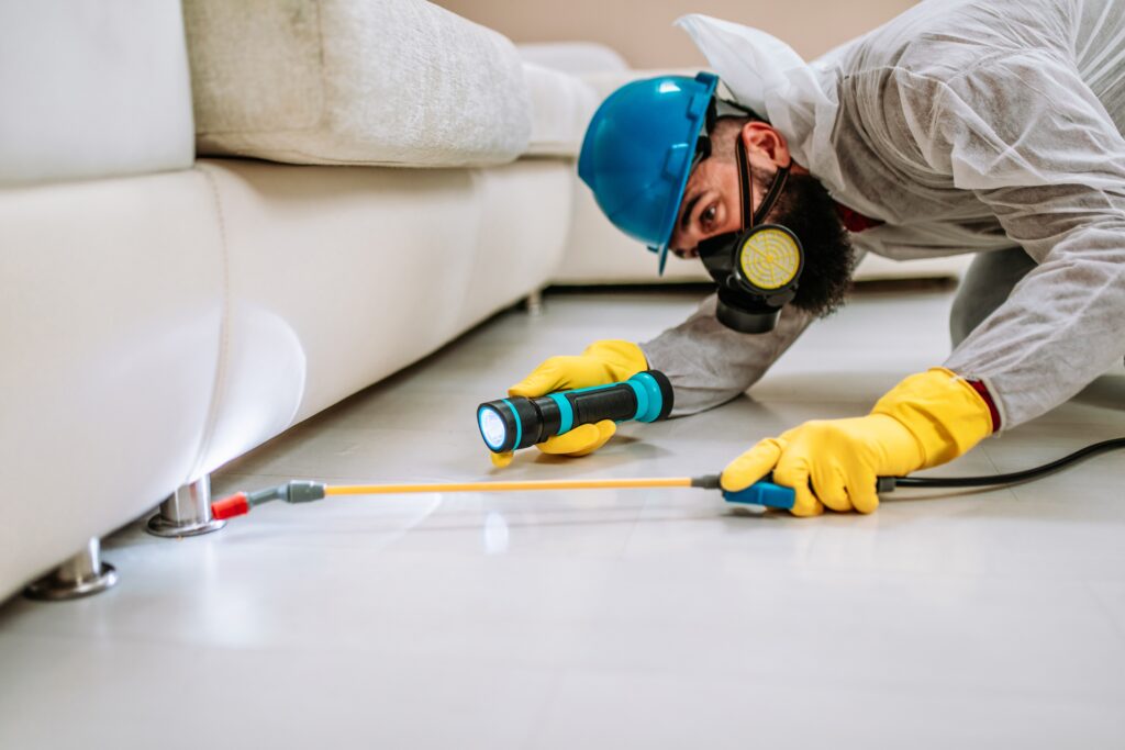 Texarkana Termite Control