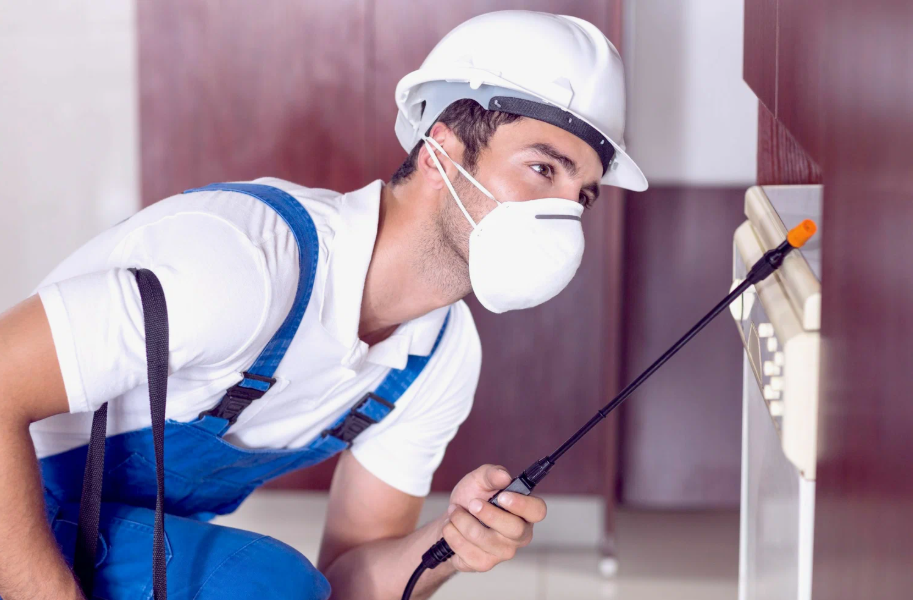 Texarkana local pest services
