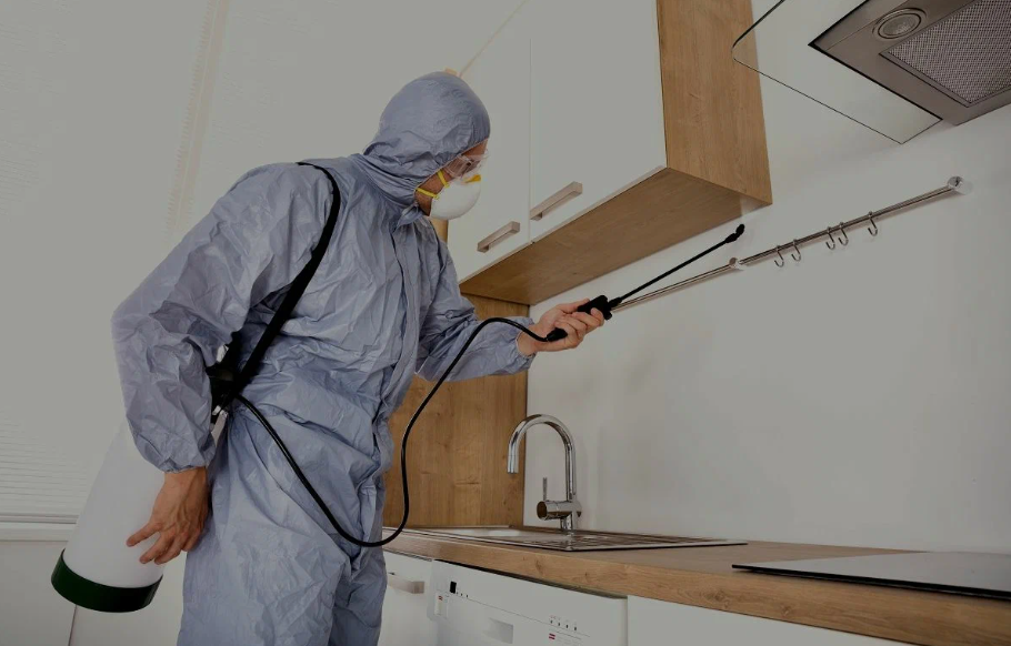 Texarkana pest managment