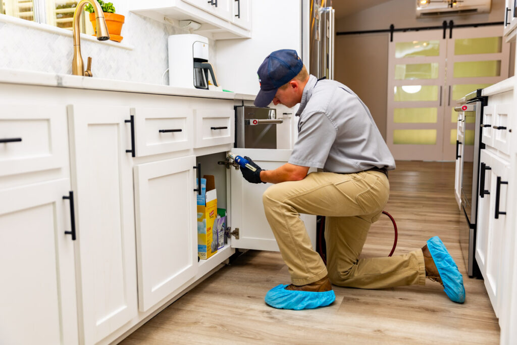 Texarkana xpert pest management